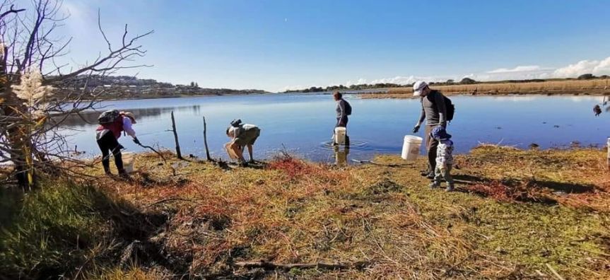 Dee Why Lagoon Clean Up