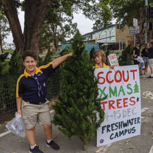 Real Christmas Trees Sold by Scouts Harbord Scouts