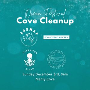 Ocean Festival Cove Cleanup!