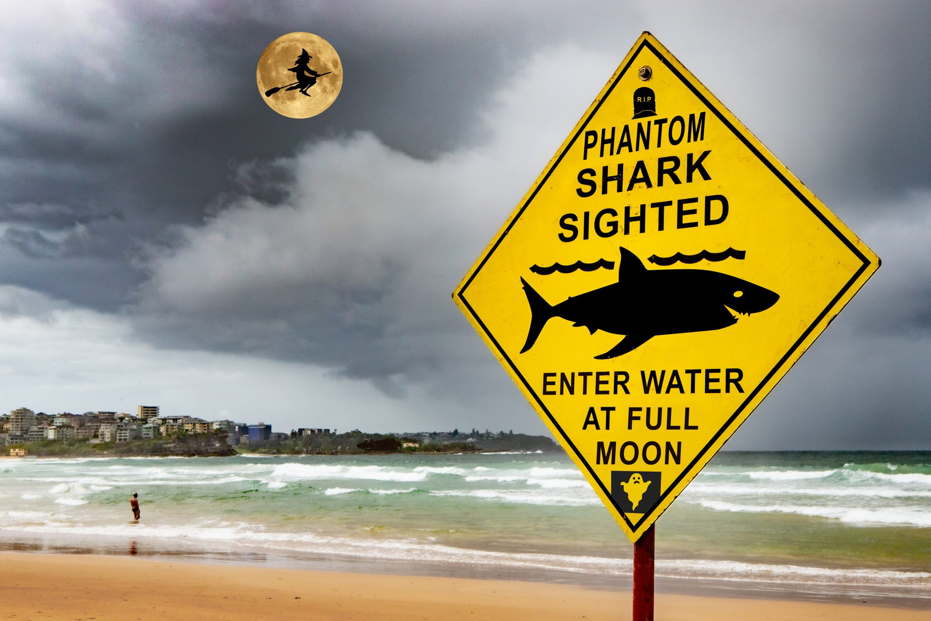 Jaws who? The mystery of Manly's phantom shark - Manly Observer
